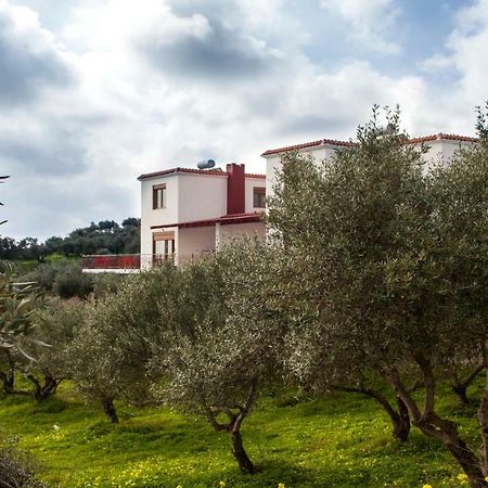 Fοivos And Athina Villas Archanes Exterior photo