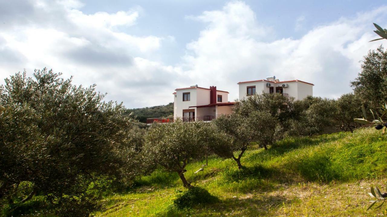 Fοivos And Athina Villas Archanes Exterior photo