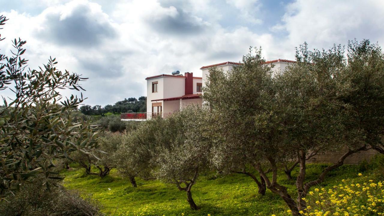 Fοivos And Athina Villas Archanes Exterior photo