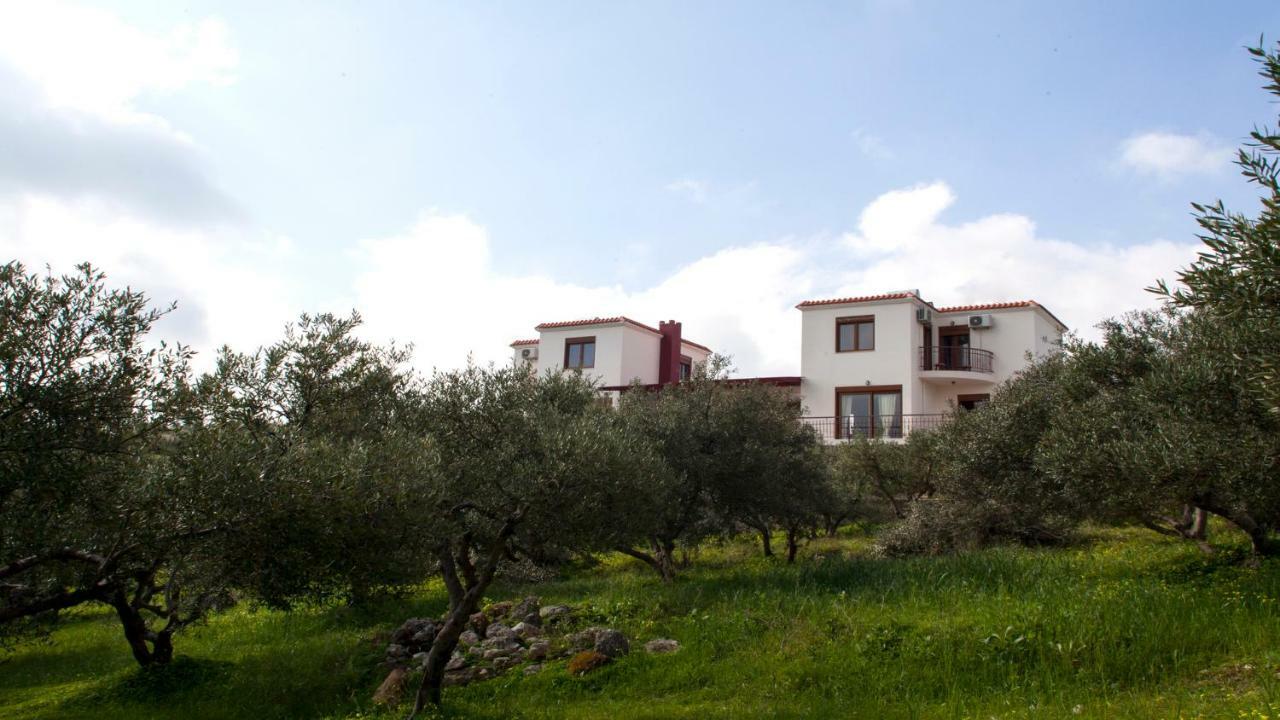 Fοivos And Athina Villas Archanes Exterior photo